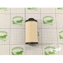 Filtras stikliniam korpusui, 70 l/min., 5 mikro.