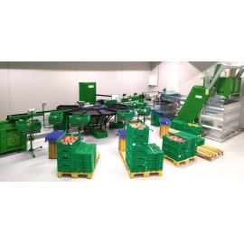Vaisių, daržovių rūšiavimo linijos "Green Sort SJ Vision"