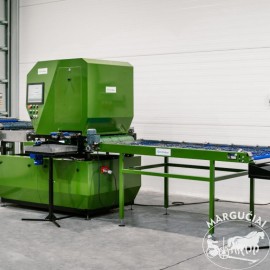 Uogų, riešutų, vyšninių pomidorų rūšiavimo linijos "Green Sort NIR SB"