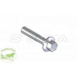 Sipma preso varžtas M6x30-8.8 0653-513-166ZN