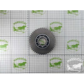 Dantratis Z45 su guoliu "Akpil"