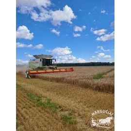 Kombainas "Claas Lexion 600", 9 m.