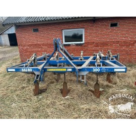 Noraginis skutikas "Dalbo Dinco", 3 m