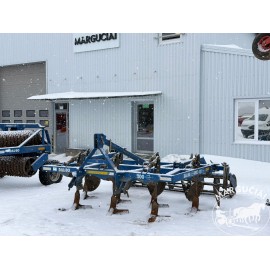 Noraginis skutikas "Dalbo Dinco", 3 m