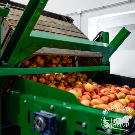 Kaulavaisių rūšiavimo linijos su sausu...