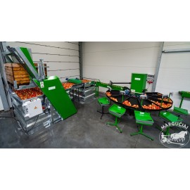 Kaulavaisių rūšiavimo linijos su išpylimu...