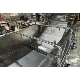 Burbulinė plovimo mašina uogoms "Insortex"