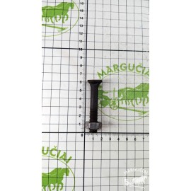Varžtas noragui M10x60