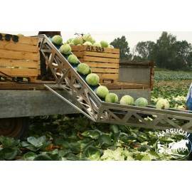 Transporteriai kopūstų transportavimui į priekabą "Kruszec PTZ"